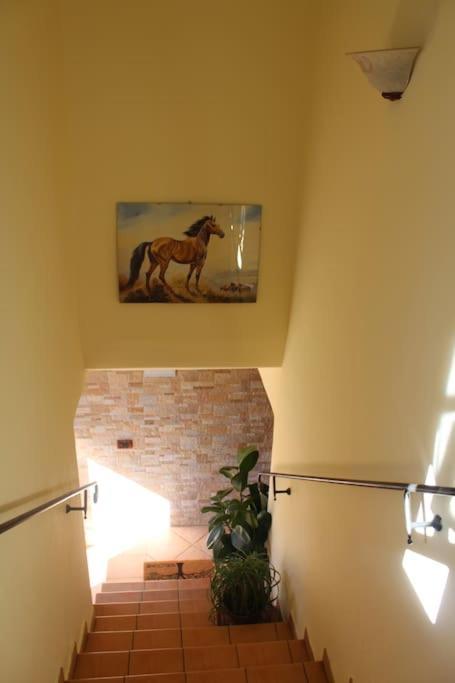 Affittacamere La Torre Tegoleto ภายนอก รูปภาพ